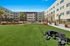 Modern apartment complex courtyard with lush green lawn, palm trees, and vibrant relaxation seating, offering an inviting outdoor space.