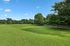 Expansive, lush green lawn with mature trees and a clear blue sky, offering a serene outdoor retreat.