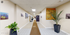 Bright and inviting hallway adorned with vibrant artwork and lush greenery, creating a welcoming atmosphere.
