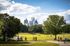 Vibrant city park scene with people enjoying leisure activities under a clear sky, surrounded by lush greenery and cityscape views.