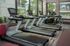 Modern fitness center with state-of-the-art treadmills, surrounded by large windows offering a scenic outdoor view.
