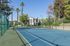 Fun sports court surrounded by lush greenery and palm trees, offering an exclusive resort-style living experience.