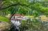 Charming park setting with a picturesque red footbridge over a tranquil pond, surrounded by lush greenery.