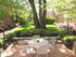 Beautiful Courtyard