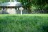 Outdoor Amenites for our Pet Residents