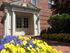 Charming building entrance framed by vibrant yellow and purple flowers, showcasing elegant architectural details and lush greenery.