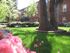 Charming apartment courtyard featuring lush green grass, beautiful pink blossoms, and stately trees, creating a serene and inviting atmosphere.