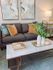 Luxurious Living Area