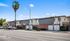 Pacific Street View