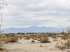 Desert View