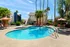 Inviting residential pool area with lounge chairs and umbrellas surrounded by lush palm trees and vibrant greenery, perfect for relaxing under the clear blue sky.