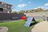 Vibrant apartment complex dog park featuring agility equipment with sunny outdoor space for pet enjoyment.