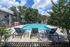 Inviting outdoor pool area with lounge chairs and vibrant greenery, perfect for relaxation and leisure under a bright, blue sky.