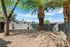 Inviting outdoor space with lush palm trees and a cozy bench, perfect for relaxation in a sun-soaked, serene environment.