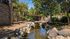 Creek next to creekside with ducks swimming and a walking path