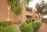 walkway near lush landscaping and 2 story apartment building at Silver Creek Apartments