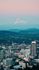 aerial view of oregon mountains