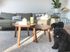Living Room with Black Dog