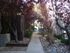 walkway at plumas garden apartments