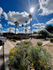 Beautiful landscaping at Village Apartments