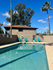 Pool and patio chairs