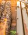 beehives