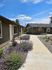 Flowering lavender plants lining a concrete path at Lakeside Place.