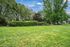 Field with trees.