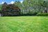 Field with trees.