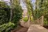 Wooden outdoor staircase and walkway winding through lush green trees at Creekwood Apartments.