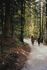 people-hiking-in-the-woods