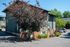 Creston Villa exterior parking lot with large tree