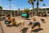 virtual lifestyle shot of dog park