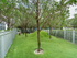 Pearl Dadeland Dog Park | Kendall, FL Apartments | Apartments in Kendall, FL
