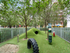 Pearl Dadeland Bark Park | Kendall, FL Apartments | Apartments in Kendall, FL