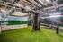 Chic indoor pet area featuring vibrant murals, artificial turf, and playful atmosphere.
