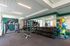 Cutting Edge Fitness Center at The Lane at Waterway in The Woodlands | Apartments in The Woodlands | The Woodlands, TX Apartments | Luxury Apartments in Woodlands | The Lane at Waterway