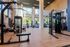 Bright, modern gym with state-of-the-art fitness equipment and large windows overlooking lush greenery.