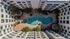 Luxurious apartment complex aerial view showcasing a stunning circular pool with lounge chairs, surrounded by modern architecture and lush greenery.