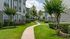Courtyard walkway with lawn, crape myrtles and three-story buildings, Houston, TX