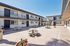 Bright apartment courtyard featuring modern architecture, inviting picnic tables, and vibrant planters under a clear blue sky.