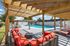 Pool and Patio Ascend Moore OK
