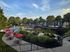 Willowyck Apartments Sparkling Pool with Lounge Area