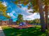 Playground at Haynes Run Apartments in Medford, NJ surrounded by trees and grassy open space