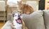 Pet Friendly Apartments | Woodland Reserve