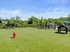 Sunny, spacious outdoor dog park with agility equipment and lush green surroundings, perfect for pet lovers.
