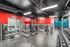 Modern fitness center with vibrant red and blue walls, equipped with weight machines, free weights, and cardio equipment.