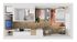 Chic studio apartment 2D floor plan featuring integrated living space with cozy bedroom, modern kitchen, and sleek bathroom design.