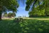 Picnic Area & Sand Volleyball