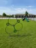 Expansive dog park featuring agility equipment for pet-friendly fun amidst lush green grass and a sunny backdrop.